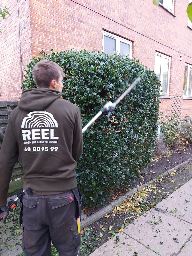 Beplantning og havepasning